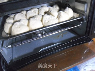Wheat Bread recipe
