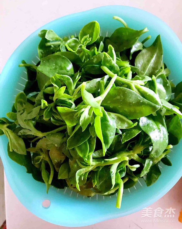 Andrographis recipe