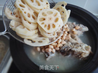 To Benefit The Stomach, Invigorate The Spleen and Replenish Calcium [cavern Bone Lotus Root Soup] recipe