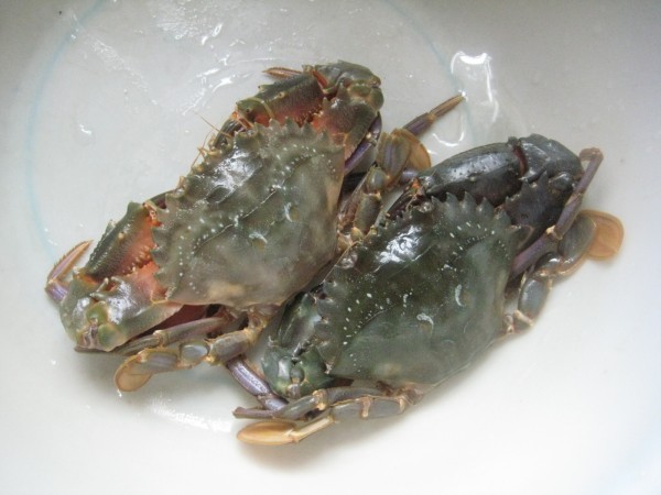 Boiled Blue Crab recipe