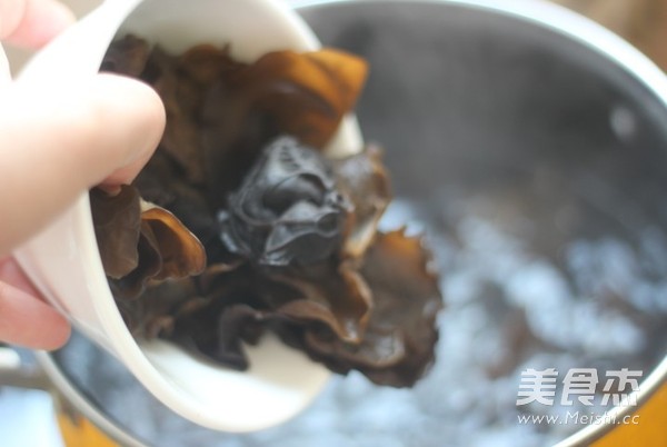 Cold Fungus recipe