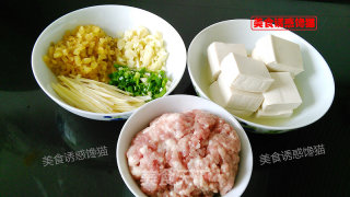 Steamed Tofu with Minced Meat recipe