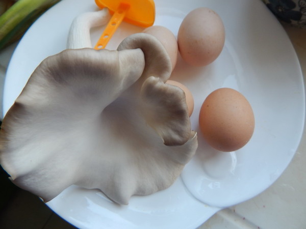 Fried Egg with Oyster Mushroom recipe