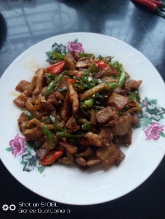 Spicy Twice-cooked Pork