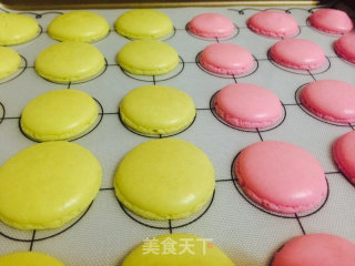 Macaron recipe