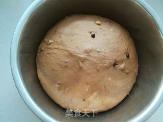 Cocoa Chocolate Walnut Bread recipe