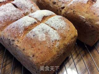 Blueberry Cranberry Flaxseed Bread By: Special Writer of Blueberry Food recipe