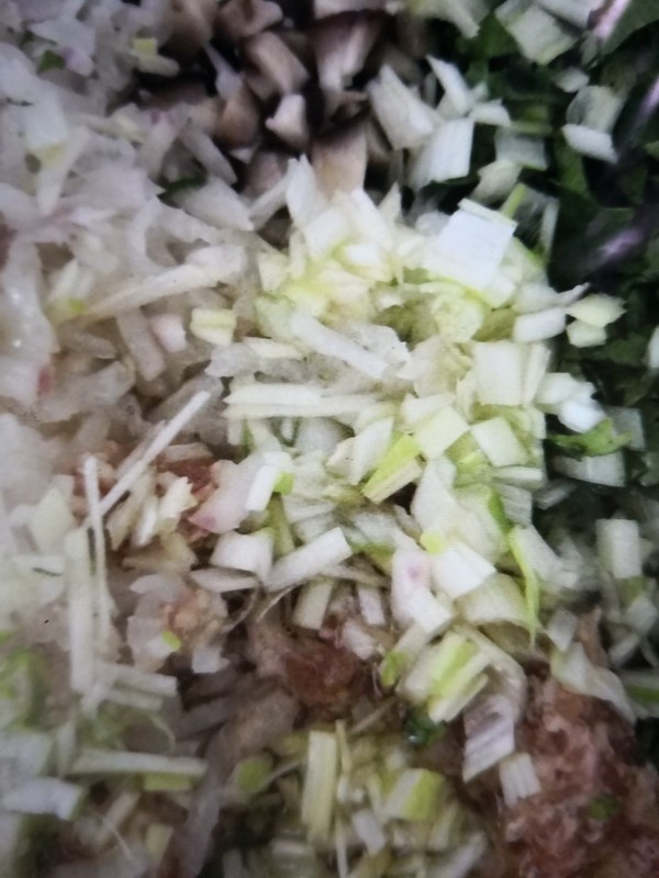 Steamed Dumplings with Cilantro and Radish Stuffing recipe