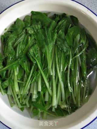 Stir-fried Pleurotus Eryngii with Cabbage recipe