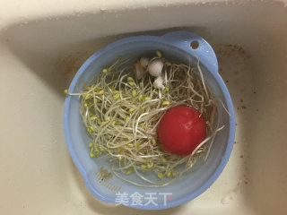 Stir-fried Bean Sprouts with Tomato recipe