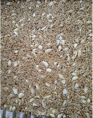 Sesame Peanut Candy-winning Work of Lezhong Colorful Summer Baking Competition recipe