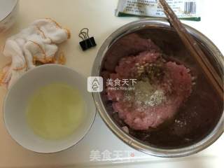 Onion Meat Pot Stickers recipe