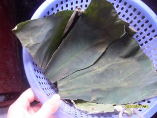 Lotus Leaf Lean Pork Congee recipe