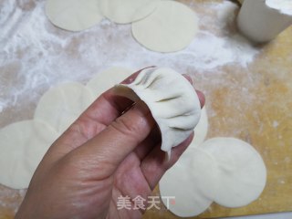 Soup Dumplings recipe