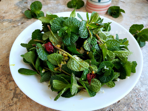 Ten Coriander recipe