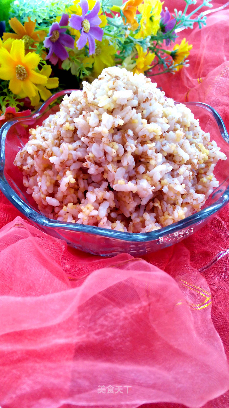 Red Japonica Rice with Mixed Grains