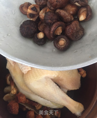 Stewed Chicken Soup with Double Mushroom and Flower Maw recipe