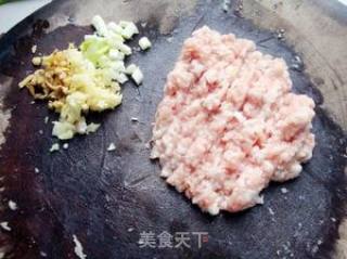 Minced Meat, Chopped Pepper and Yuba recipe