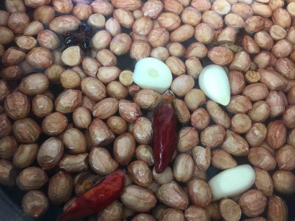 Marinated Peanuts recipe