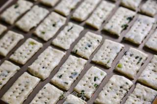 Homemade Green Onion Crackers (made Crackers in The Oven) recipe