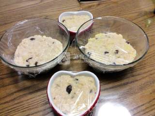 Blueberry Apple Oatmeal Pudding (oatmeal Pudding) By: Special Writer of Blueberry Food recipe