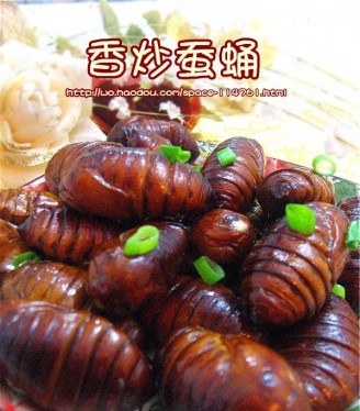 Fried Silkworm Chrysalis recipe