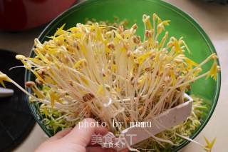 Stir-fried Vermicelli with Spontaneous Bean Sprouts recipe