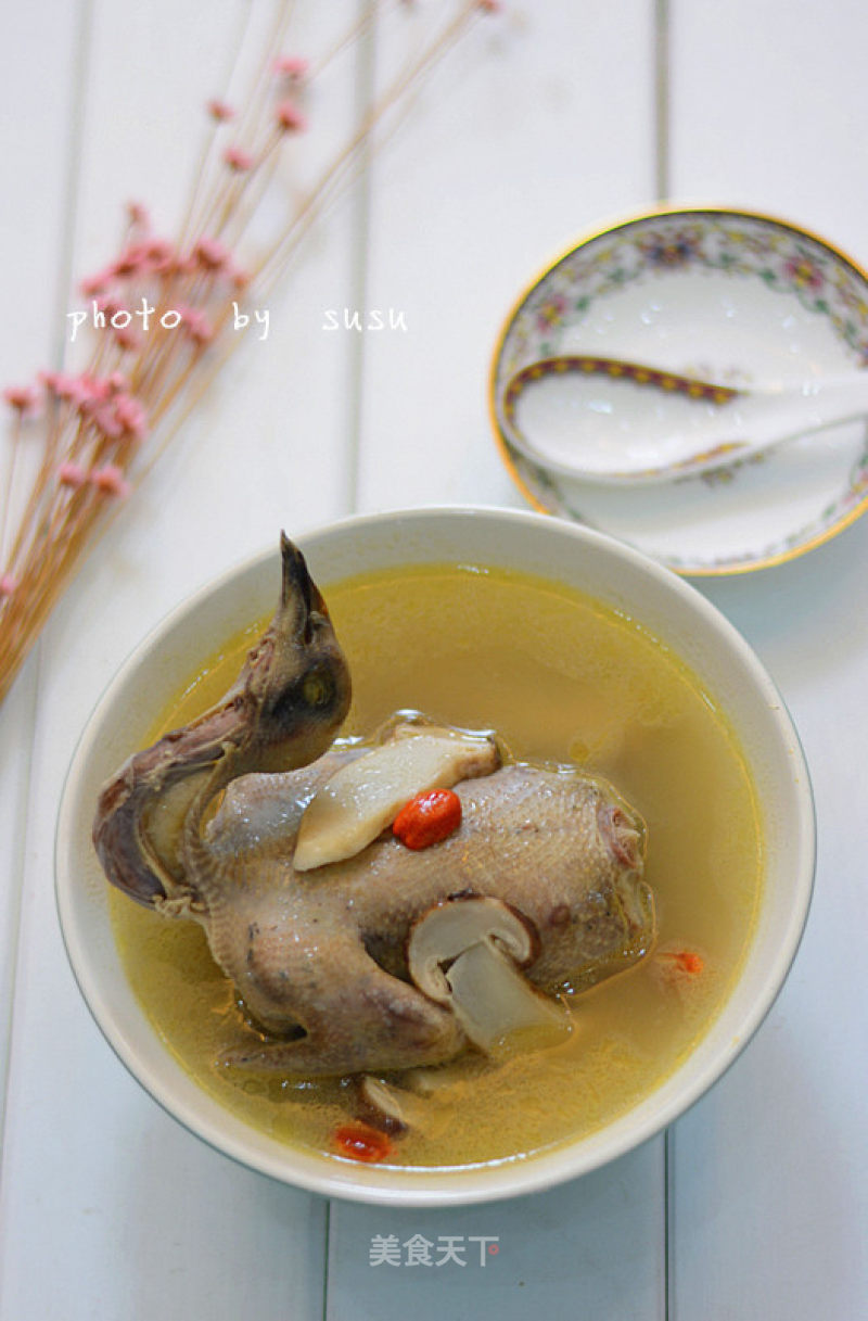 Matsutake Pigeon Soup recipe