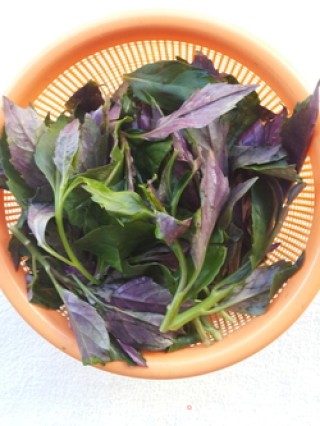 Mixed Begonia Fimbristipula Hance recipe
