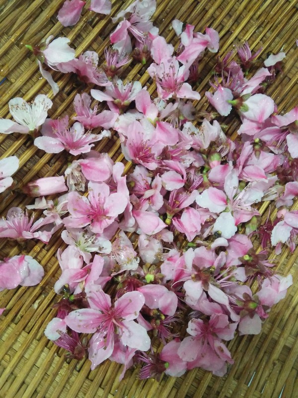 Peach Blossom Tea recipe