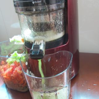 Honey Bitter Gourd Juice recipe