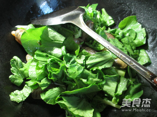 Bacon and Chinese Cabbage Clam Soup recipe