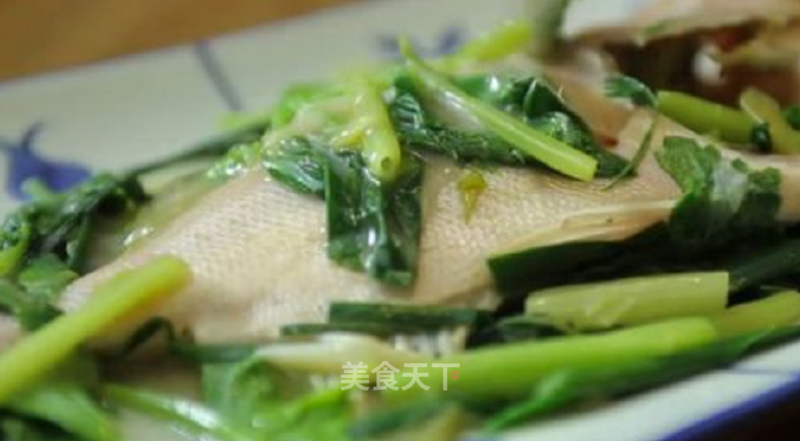 Chaoyin Hipster: Garlic Red-eye Silver Carp recipe