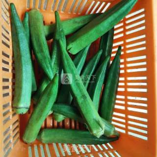 Iced Okra recipe