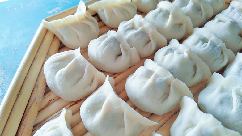 Fried Egg Hug Dumplings recipe