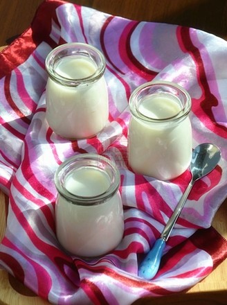 Yogurt Pudding recipe