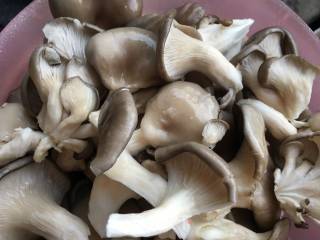 Stewed Oyster Mushroom recipe