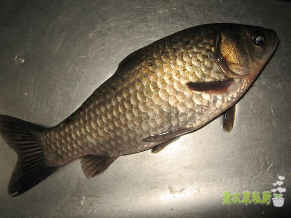 Tofu Stewed with Crucian Carp recipe