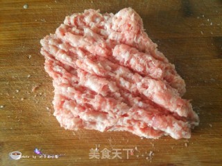 Pork and Green Onion Buns recipe