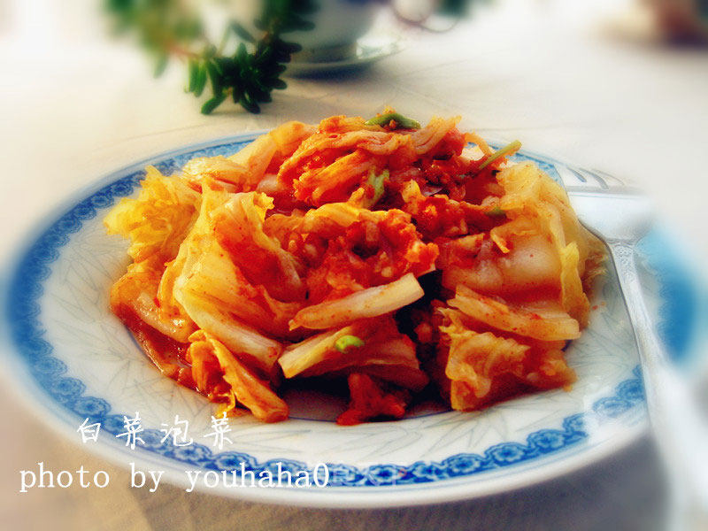 Korean Cabbage Kimchi recipe