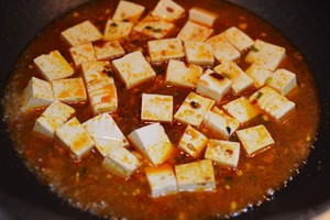 Authentic Mapo Tofu "super Step by Step" recipe