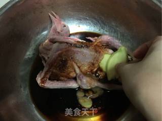 Roasted Pigeon recipe