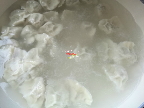 Cabbage Beef Dumplings recipe