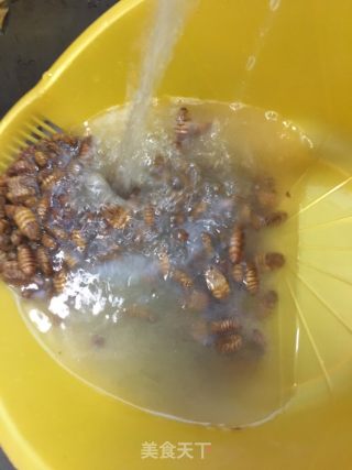 Spicy Silkworm Pupa recipe