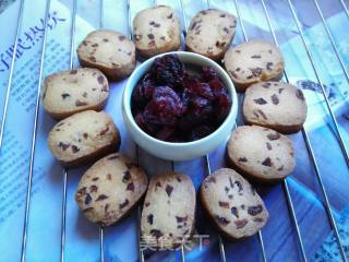 Cranberry Cookies recipe