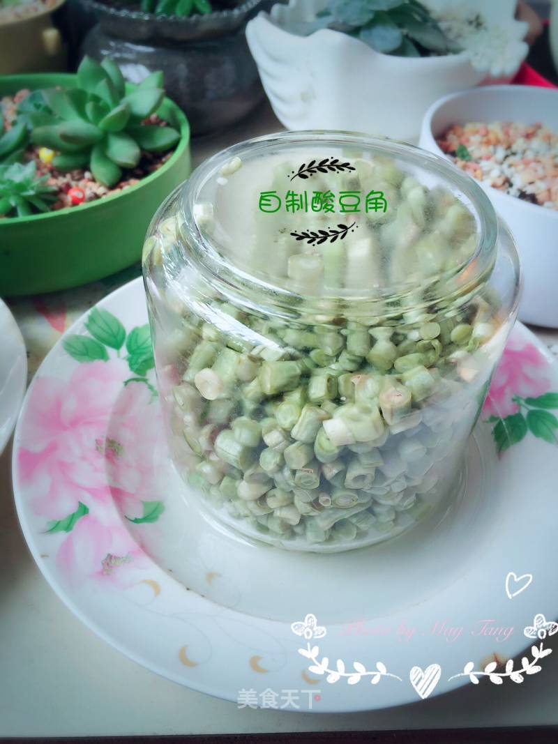 Homemade Capers recipe