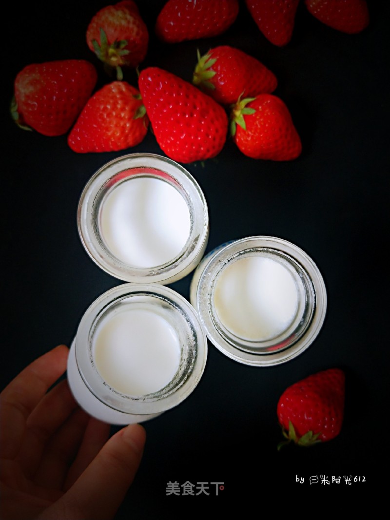 Homemade Yogurt recipe