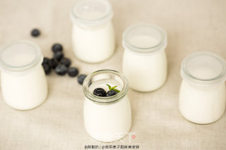 Homemade No Added Yogurt recipe