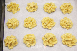 Super Simple Baby Nutrition Supplement recipe