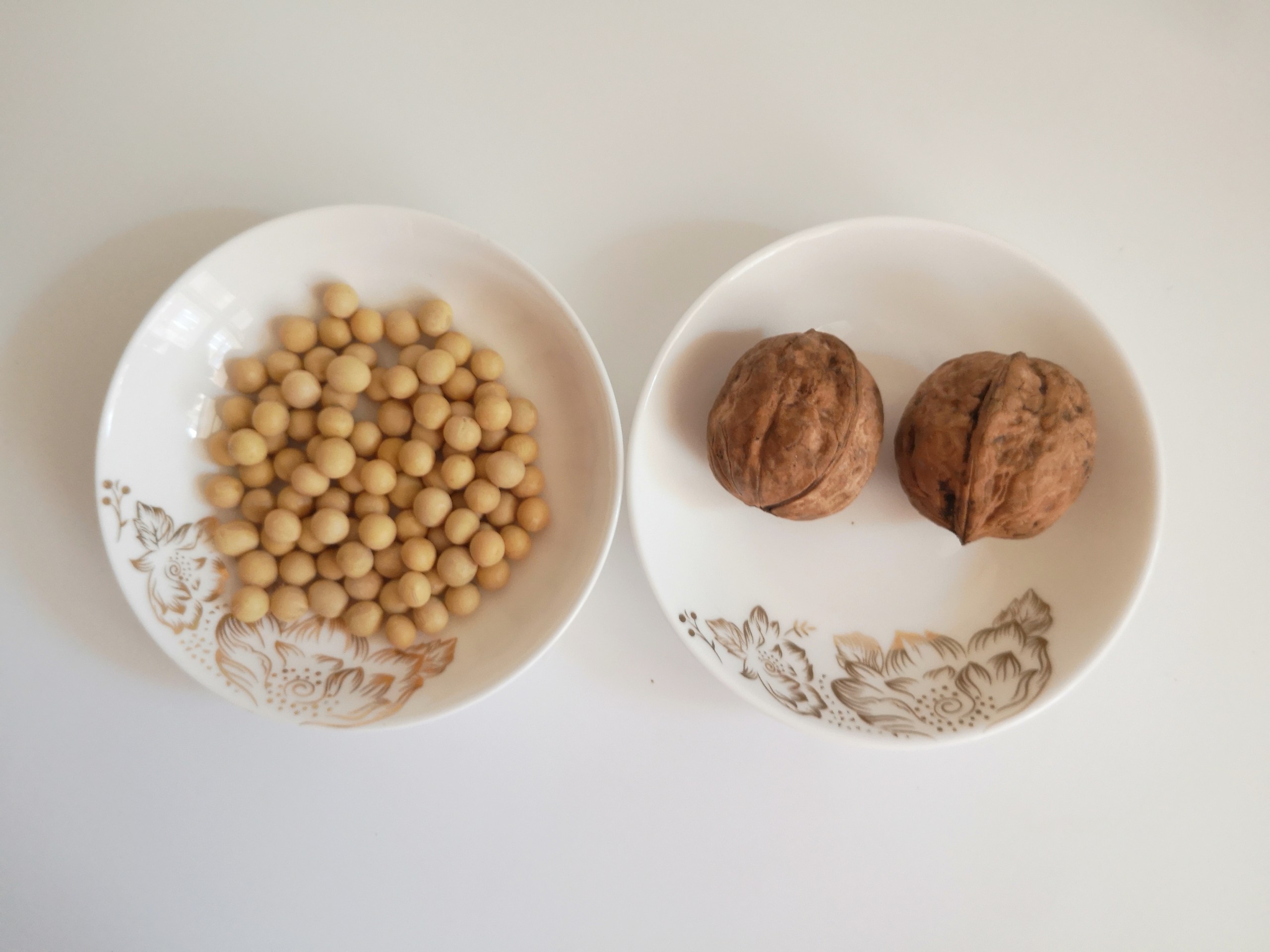 Walnut Soy Milk recipe